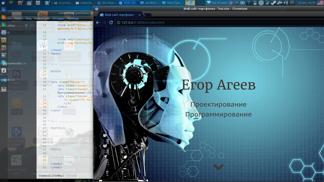 Проект Портфолио